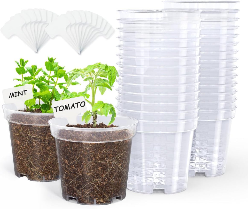 3/4/5 Inch Clear Nursery Pots with Drainage and 20 Labels (30 Pcs) | Transparent PP seedling planters reveal root growth and suit seed starting, cuttings, transplanting, flowers and vegetables. - view 5