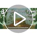 Indoor Herb Garden Starter Kit with 10 USDA Organic Seeds and Pots - view 7