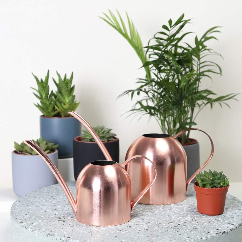 Watering can for indoor plants, 30oz long spout stainless steel | long spout design delivers precise watering directly to plant roots - view 2