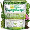 Mycorrhizae with Beneficial Bacteria for Plants - Supercharge