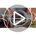 Leaves & Soul Perlite for Plants Medium Grade Perlite 2.2 Qt Soil Additive - view 7