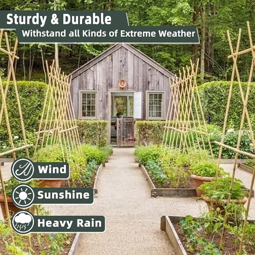 50Pcs / 18 inch Bamboo Plant Stakes for Indoor Outdoor Plants, Garden Plant Support Sticks, Poles for Tomato Vegetables Beans Trees Potted Climbing Plants(0.32''-0.4'') - view 3