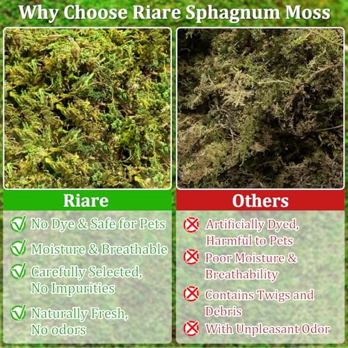 8OZ Sphagnum Moss for Reptiles- 10QT Natural Reptile Moss Bedding - view 4