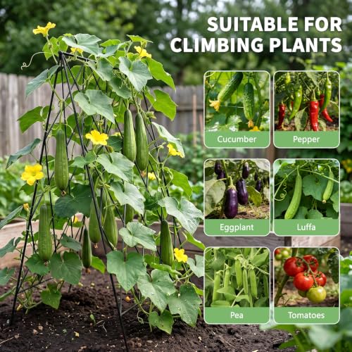 39.4" H Cucumber Trellis, 2 Pack Foldable A Frame Garden Trellis - view 3