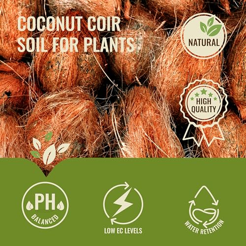 11LBS Coco Coir Brick for Plants, Low EC & Balanced pH, Potting Mix, Coconut Fiber Substrate, Coco Coir in Bulk (18 Gallons Expansion) - view 3