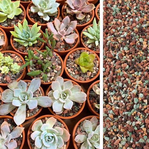 45lb Mix Lava Rocks for Plants in Door -Gravel Pebbles for Bonsai Succulent Cactus Potting Soil and Vase Fillers, Fairy Gardening,Top Dressing - view 7