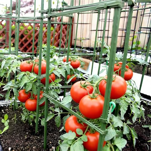4 Pack Tomato Trellis & Cages, Plant Support Stakes for Outdoor Vertical Garden, Climbing Plants, Vegetables, Tomatoes, Cucumbers - view 6