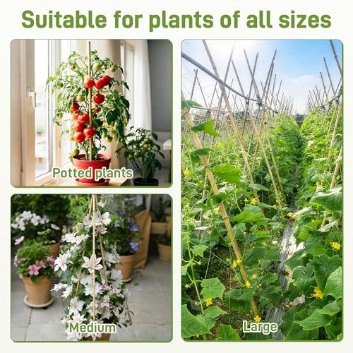 50Pcs Garden Stakes, 0.32”/16 Inch Bamboo Sticks，Natural Plant Stakes for Indoor and Outdoor Plants，Poles for Tomatoes, Beans, Potted Plants - view 5