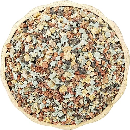 5lb Mix Pumice Lava Rocks, Soil Amendment for Bonsai & Succulents