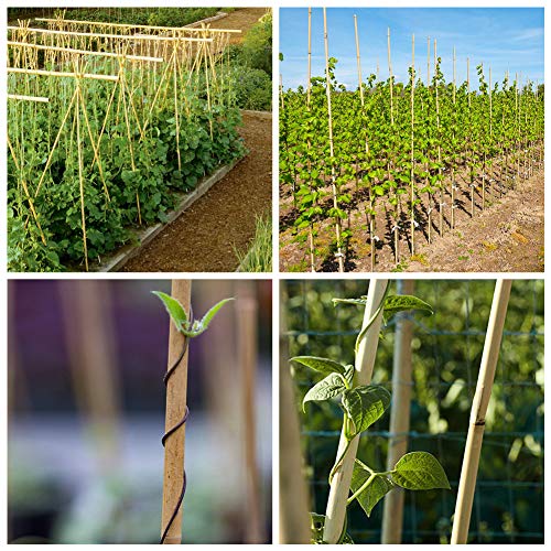 Natural Bamboo Stakes 4 Feet, Eco-Friendly Garden Stakes, Plant Stakes Supports Climbing for Tomatoes, Trees, Beans, 25 Pack - view 5