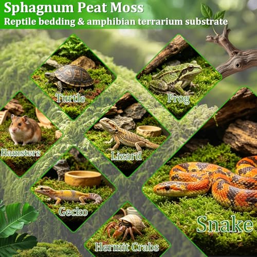 8OZ Sphagnum Moss for Reptiles- 10QT Natural Reptile Moss Bedding - view 6