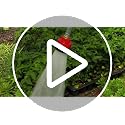 Water Breaker Nozzle with 1000 Tiny Holes, for Greenhouse & Nurseryman, Saves Time & Water, Will not Damage or Flatten Plants, Perfect for Seedlings, Chrome - view 7