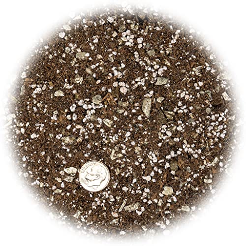 New Zealand Pinus Radiata Bark - 2 Quart - Premium ORCHIATA - Organic Hand Mixed New Zealand Pine Bark for Orchids - Medium Chips 9-12mm - view 2