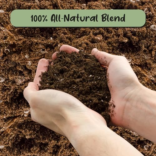 Banana Tree Potting Soil Mix (12 Quarts) – Hand-Blended Indoor/Outdoor Mix for Healthy Banana Plants – Enhances Drainage & Root Support – Made in USA - view 3