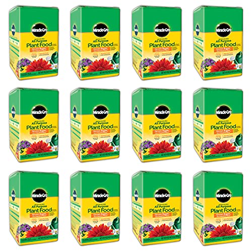 Water Soluble All Purpose Plant Food, 8 oz. (12-Pack)
