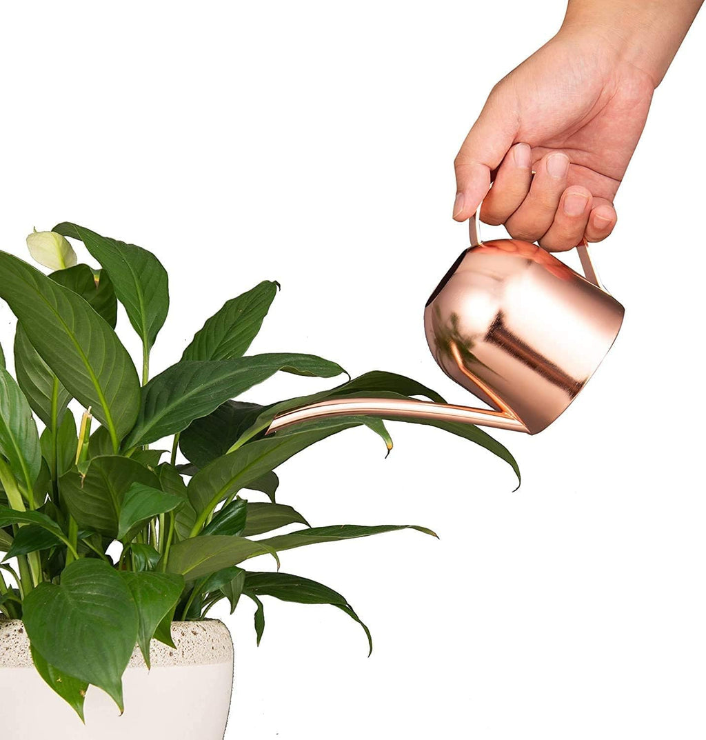 Mini Indoor Watering Can for Small Plants, Stainless Steel with Long Spout, 15oz/450ml – Perfect for Desk, Windowsill & Bonsai - view 4