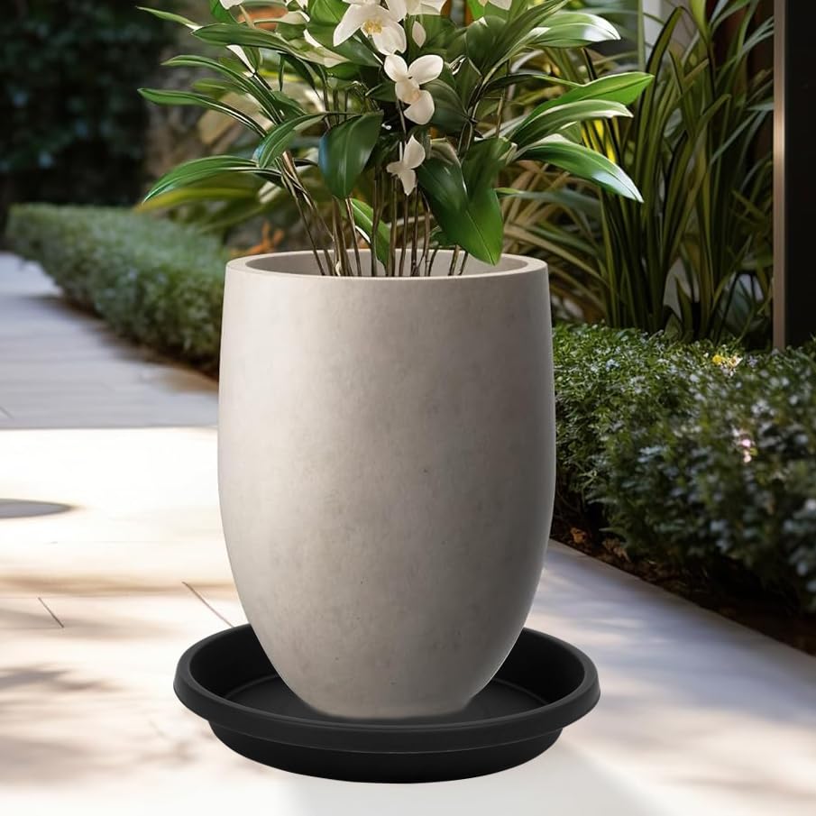 2 Pack Plant Saucer 8 Inch, Drip Trays for Potted Plants, Flower Pot Saucers Plant Trays for Pots, Plastic Planter Tray for Indoors, Plant Drainage Saucer Birdbaths for Outdoors - view 6
