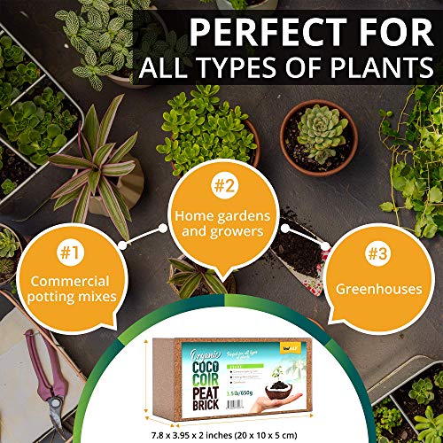 Coco Coir Bricks 5 Pack, Coconut Coir for Plants, Compressed 650g Each - view 6