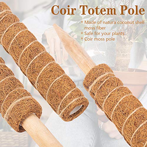 Coir Totem Pole for Climbing Plants, 2 Pcs 12'' Coir Moss Totem Stick - view 3
