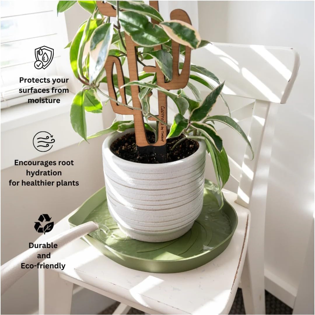 Mia Bottom Watering Plant Saucer – 10 inches Self-Watering Plant Tray for Indoor Plants, Leaf-Shaped Pot Saucer with Water Reservoir for Healthy Root Growth - Green - view 4