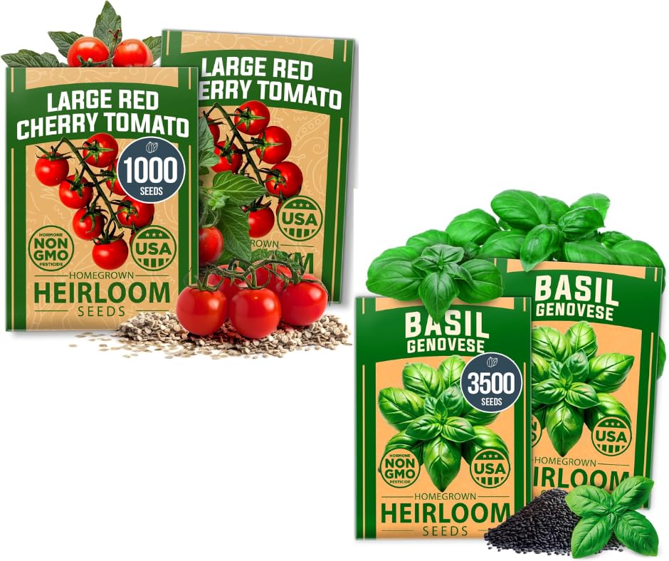 Large Red Cherry Tomato Seeds 2 Pack (Solanum lycopersicum) - Approx.1000 & Genovese Basil Seeds 2 Pack - 3500 Non GMO