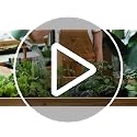 Vegetable & Fruit Seeds, 32 Packs, Non-GMO, 15,000+ Seeds - view 7