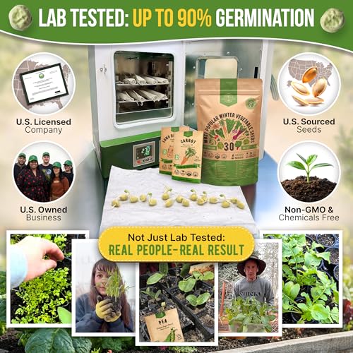 30 Most Popular Winter Vegetable Garden Seeds Variety Pack- Outdoors/Indoor 33,200+ Non-GMO Heirloom Veggie Seeds Broccoli Beet Carrot Cabbage Chives Lettuce Radish Pea Spinach & More - view 2