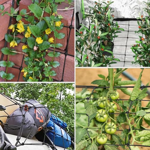 4 x 4Ft. Elastic Trellis Netting with 4 Hooks for Climbing Plants, Vegetables, Fruits, and Flowers, 1-Pack - view 6