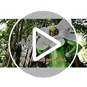 Orchid Potting Mix - Made in USA - Premium Grade Recipe for Proper Root Development - Phalaenopsis, Cattleyas, Dendrobiums, Oncidiums and More! Fir Bark, Charcoal, Coconut Husk, Clay Pebbles - view 7