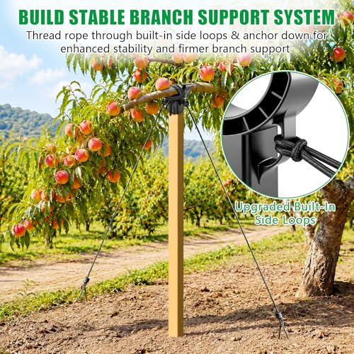 4 Pack Upgraded Tree Crutches, Fruit Tree Branch Supports - view 4