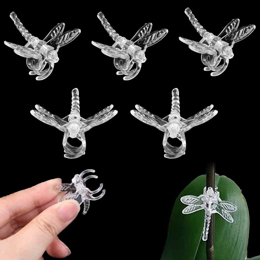 100Pcs Plant Orchid Clips, Garden Plant Support Clip | Dragonfly Orchid Clips, Portable Cute Flower Vine Clips(Transparent) - view 8