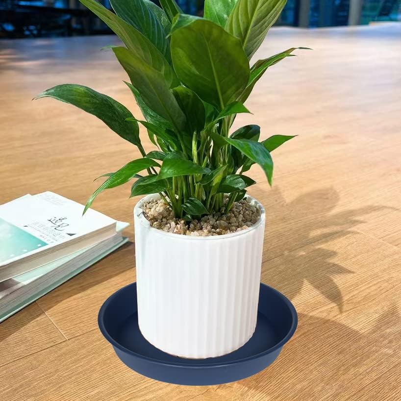 6 pack plastic plant saucer planter water drip tray, 4 5 6 7 8 9 10 11 12 inch, heavy sturdy tray for indoors outdoor plants, flower pot saucers for pots base (4", blue) - view 5