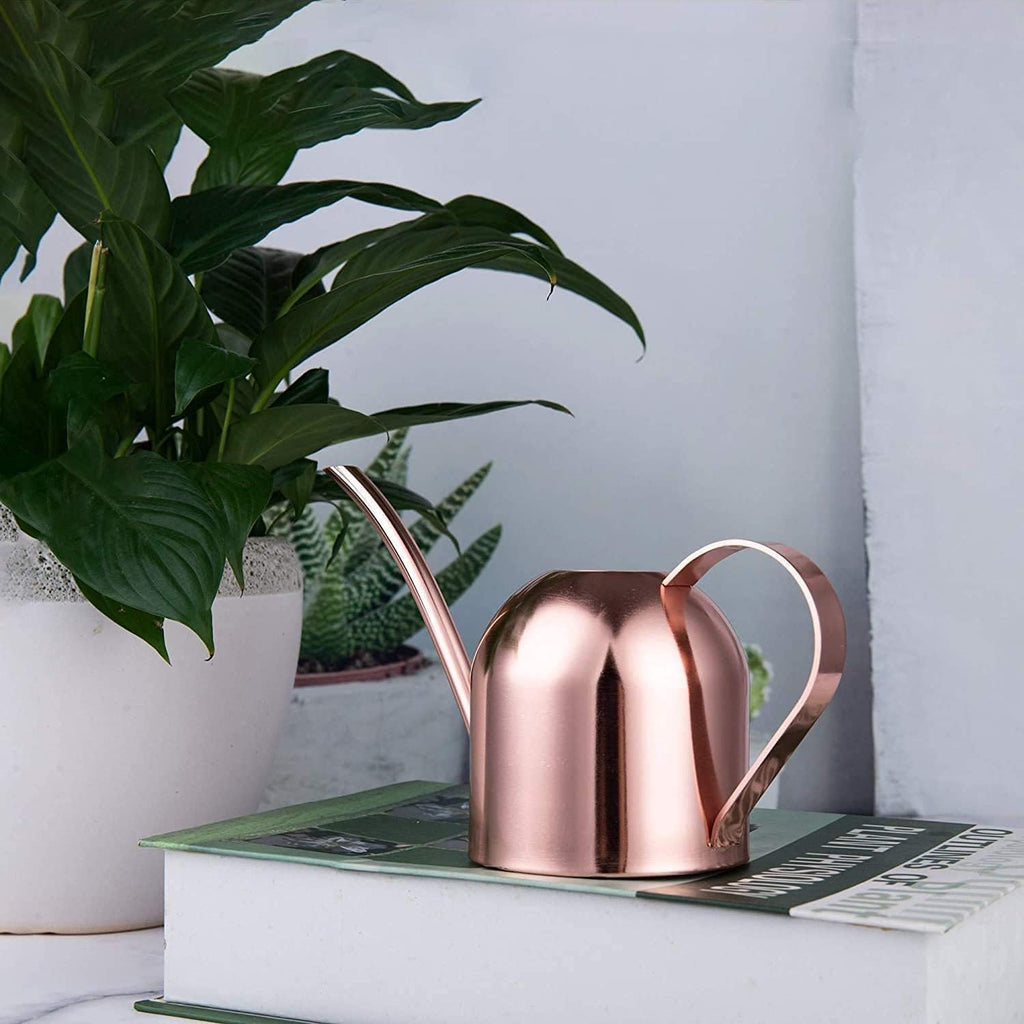 Mini Indoor Watering Can for Small Plants, Stainless Steel with Long Spout, 15oz/450ml – Perfect for Desk, Windowsill & Bonsai - view 6