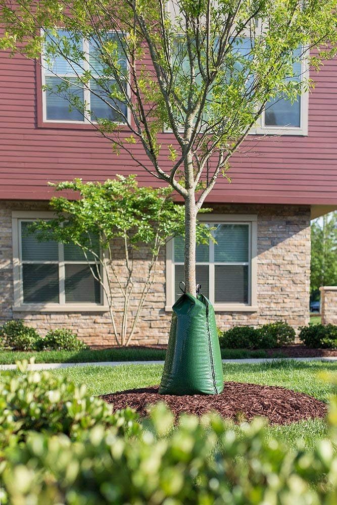 2 Pack - Original Slow Release Watering Bag for Trees - view 2
