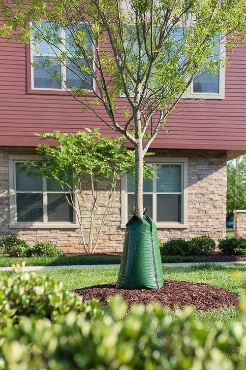 2 Pack - Original Slow Release Watering Bag for Trees - view 2