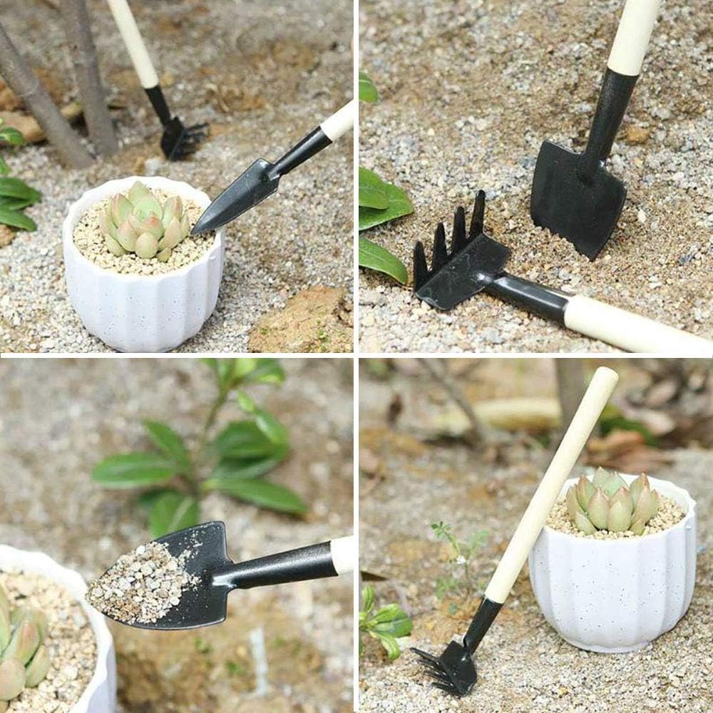 15 Pcs Succulent Plant Tools Set | Mini Garden Planting Watering Tool Kit for Succulent Miniature Gardening Plant Care - view 3