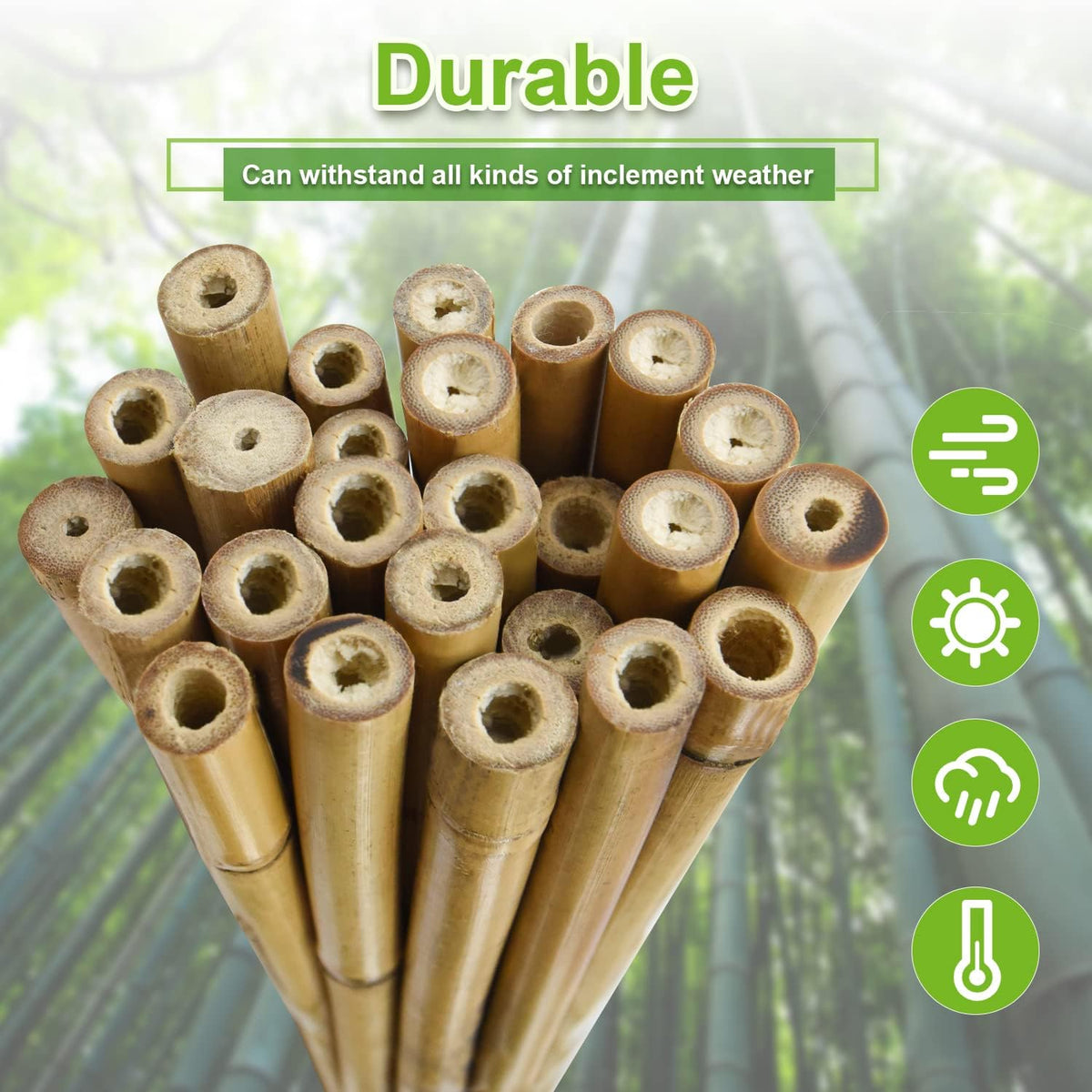 25pcs 1/2" D Thicker Heavy Duty Bamboo Stakes, 4FT Plant Stakes, Natural Garden Stakes for Tomato, Bean, Flowers,Trees Potted and Climbing Plant Support - view 4