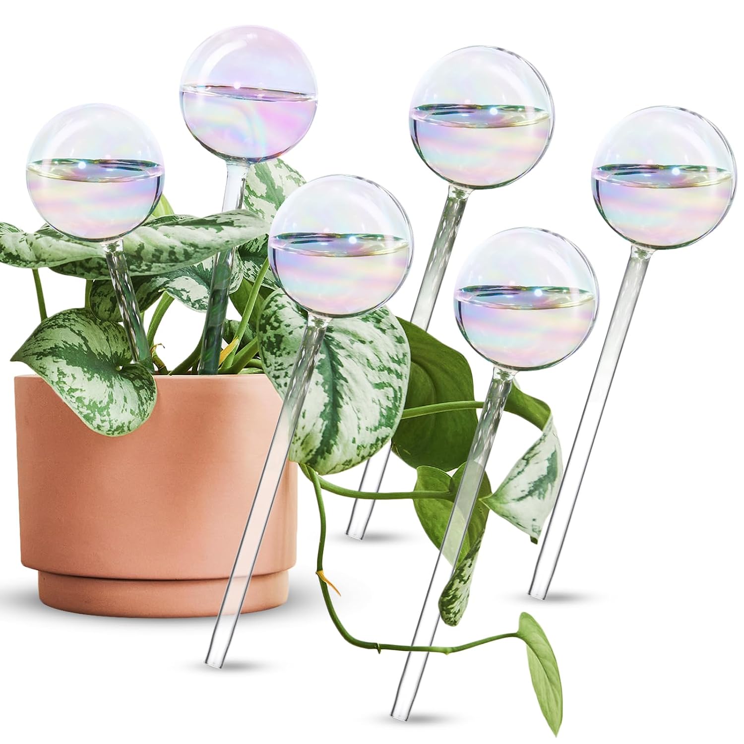 [6 PCS] Light iridescent rainbow gradient color clear glass self-watering system spikes, automatic plant waterer bulbs