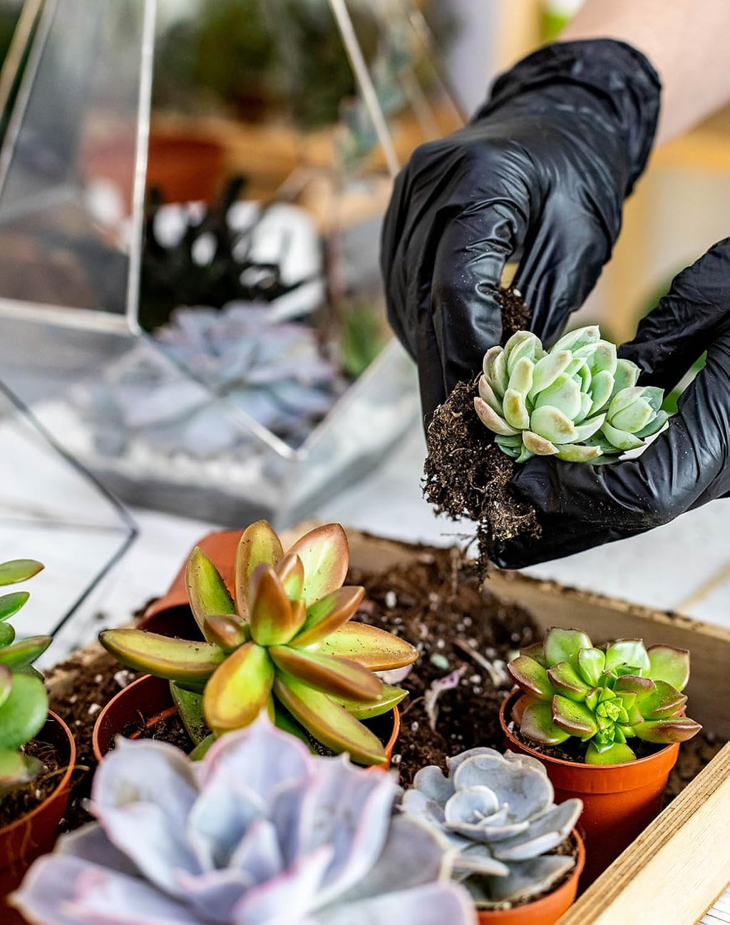 25Pcs Mini Garden Hand Transplanting Succulent Tools Set, 39.4" Thickened Repotting Mat & Plant Tag, Miniature Planting Indoor Fairy Care, Potting, Cactus, Houseplant Bonsai Tool Kit (Black) - view 3
