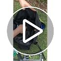 Portable Gardening Tool Tote Bag Organizer with 16 Pockets & Handle - view 7