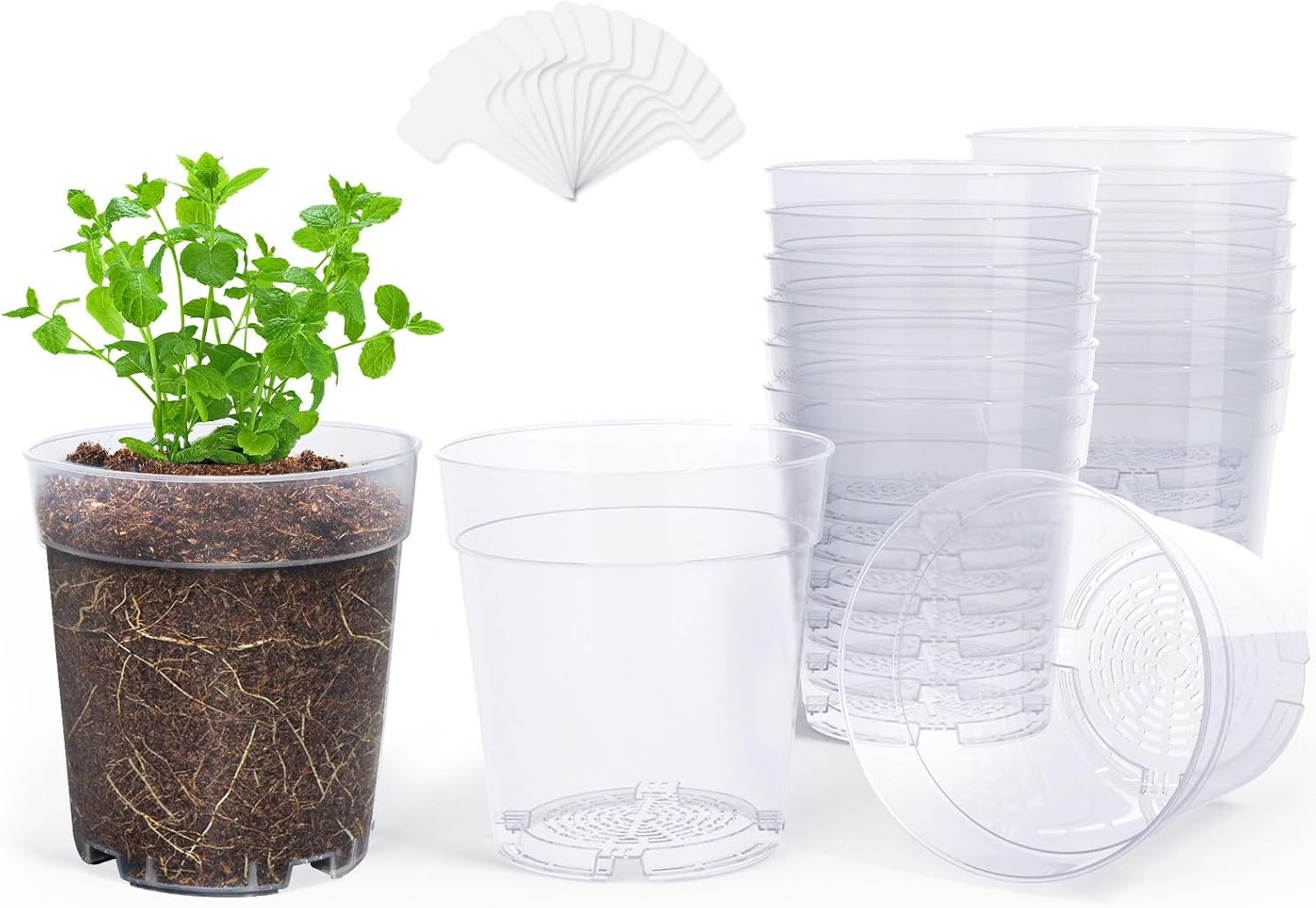 3/4/5 Inch Clear Nursery Pots with Drainage and 20 Labels (30 Pcs) | Transparent PP seedling planters reveal root growth and suit seed starting, cuttings, transplanting, flowers and vegetables. - view 3
