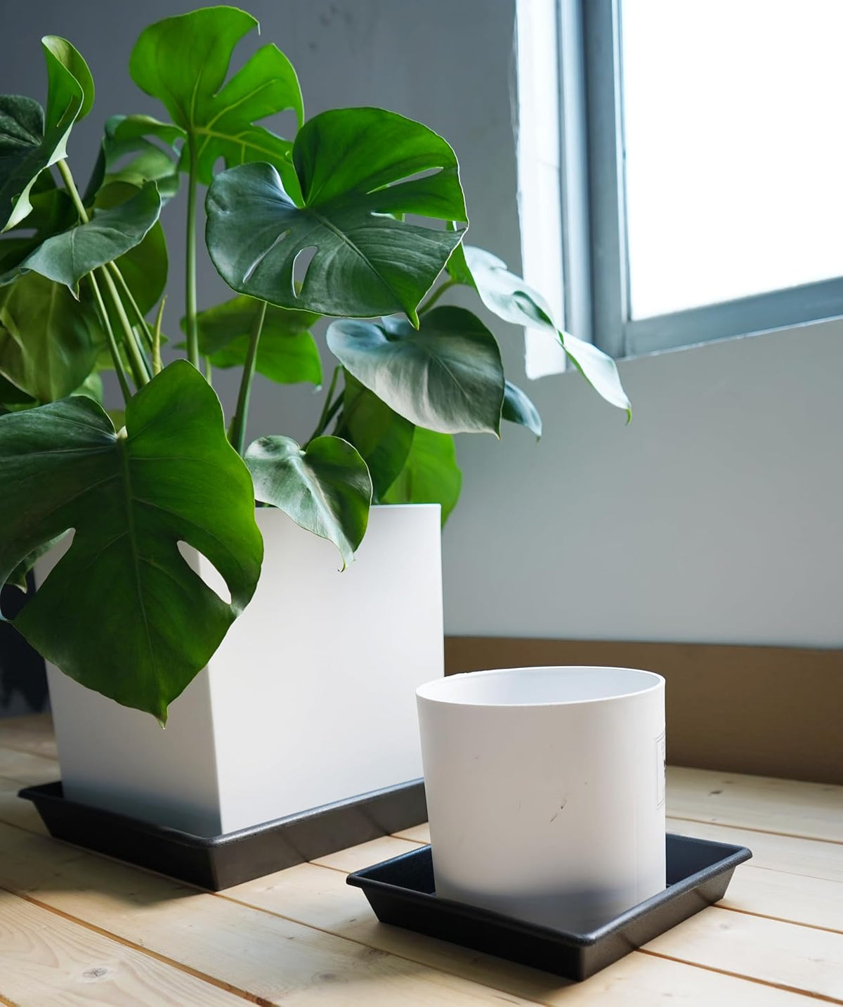 Square Plant Saucer 6 Inch 5 Pack6 8 12 14 16 18 20 Heavy Duty Plastic Plant Saucers for Indoors Outdoors, Plant Trays for Pots, Flower Pot No Holes Plant Drip Trays - view 4