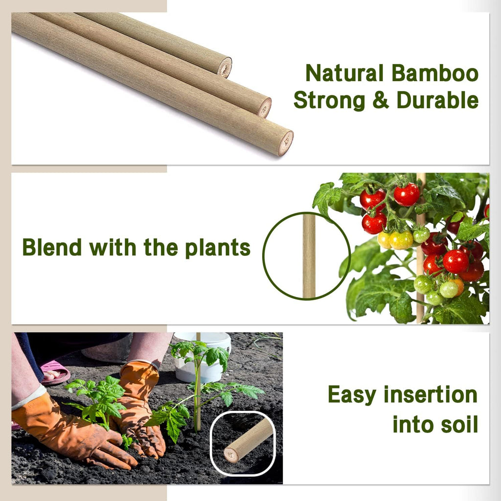 Plant Stakes,18 Inches Natural Garden Bamboo Sticks, 20Pcs Plant Support Stakes for Tomatoes,Beans,Vegetable and Potted Plants | with 20Pcs Green Ties, Bamboo Sticks for Plants,Garden Stakes for Plants,Tomatoes, Beans, Vegetable and Potted Plants - view 2
