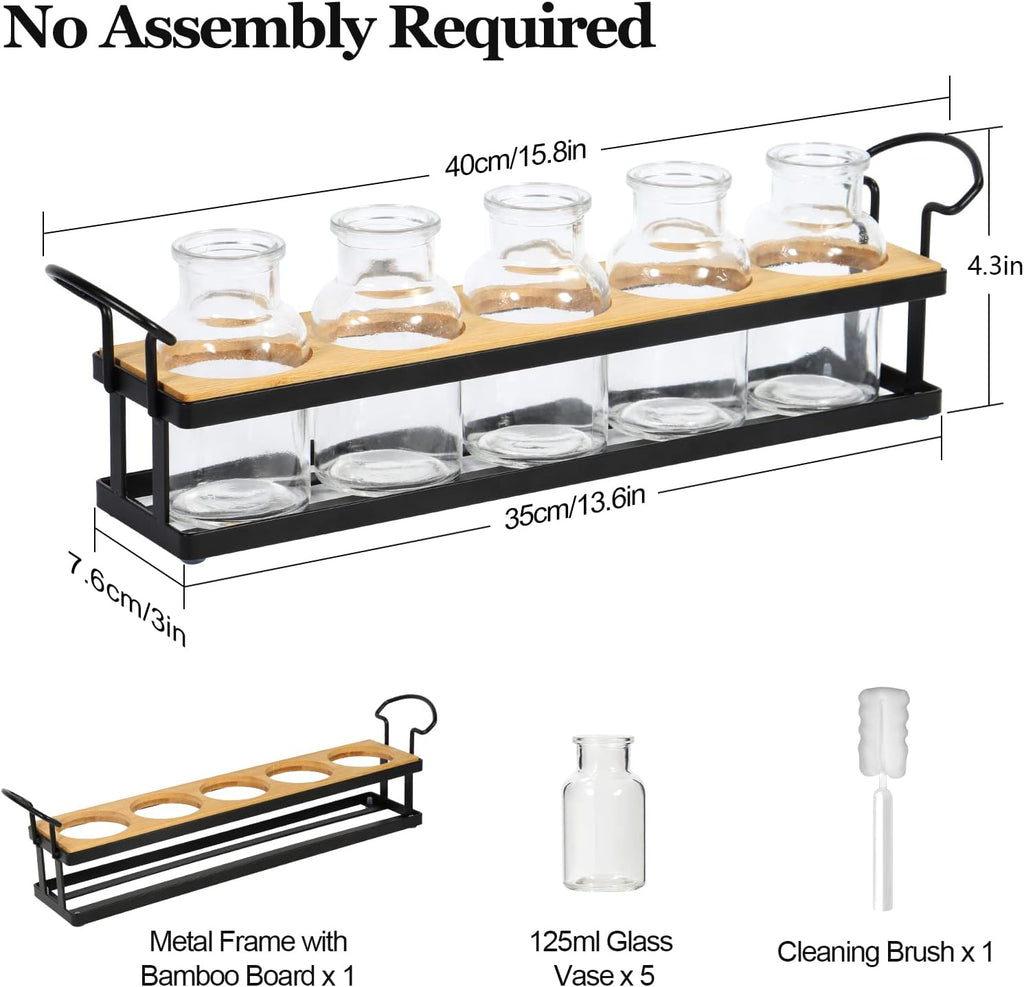 Plant Propagation Stations with Metal Stand, Tabletop Plant Terrarium for Propagating Hydroponic, Retro Glass Planter Flower Vase Home Kitchen Office Decor Gifts, 5 Jars - view 6