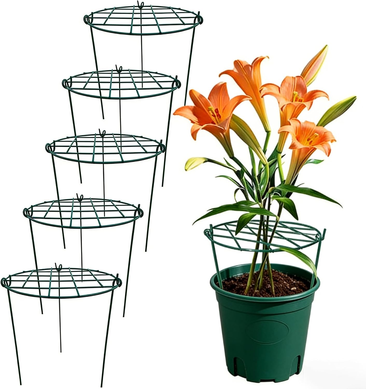 10 Pack 16 x 24 inch Green Peony Cages Grow Through Plant Support Stakes Flower Support Hoops Heavy Plants Brace Rings - view 7