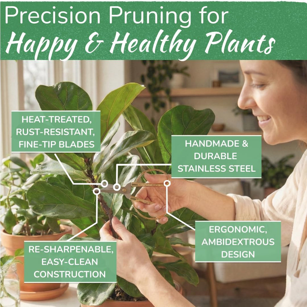 Houseplant pruning shears, stainless steel scissors for trimming & notching - view 2