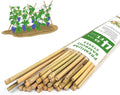 Natural Bamboo Garden Stakes, 4FT Trellis Plant Support 25Pcs | 4FT sturdy longer bamboo sticks for trellis, support tomato, vegetables, beans, trees and climbing plants indoor & outdoor.