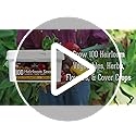 Farmer Seed Vault – 100 Packs of Seed for Heirloom Vegetable Gardens - view 7