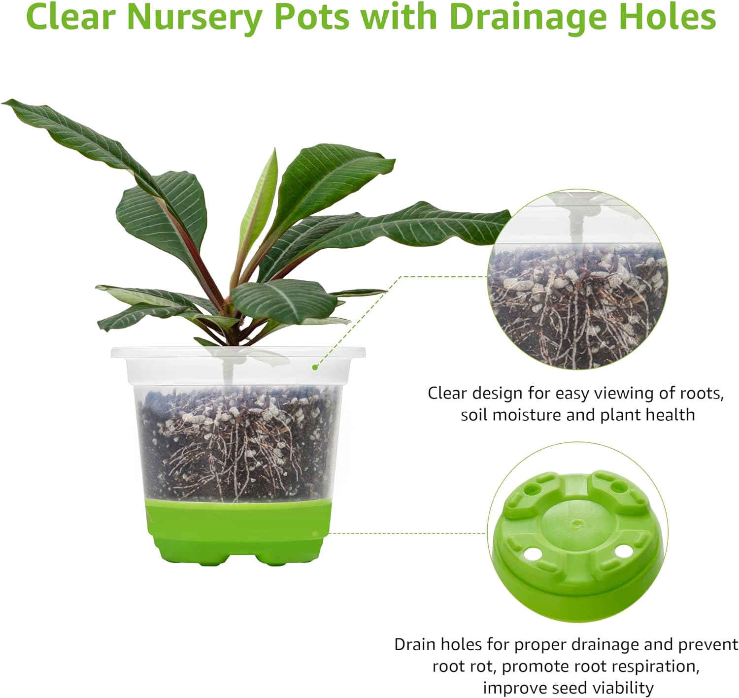 Clear Nursery Pots with Silicone Base, 4-Inch, 30-Pack | Sturdy Construction, Flexible Base, Drainage Holes, Root and Soil Visibility, Reusable, Seed Starting, Propagation, Green - view 5