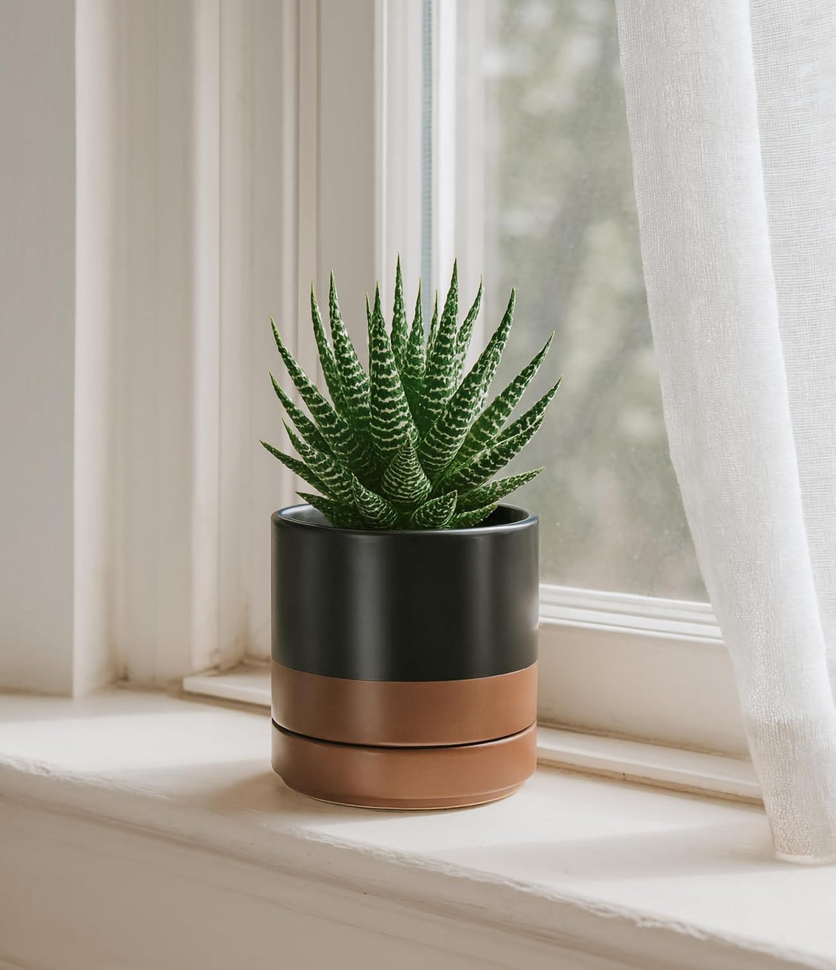 4.7 Inch Ceramic Planter Pot, Black/Tan, 94-O-B-7 | Modern Cylinder Design, Drainage Hole & Saucer Included, Stable Structure, Elegant Home Accent - view 2
